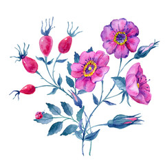 Drawing roses and rose hips watercolor, handmade. Can be used as background for web pages, wedding invitations, greeting cards, textile design,
