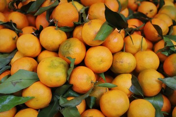 closeup of  mandarins on display at the market