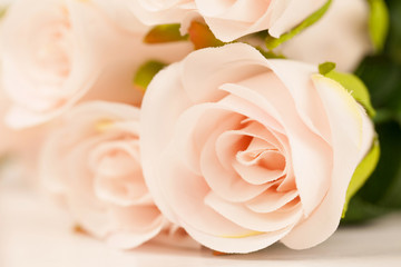 Sweet color roses in soft and blur style for background