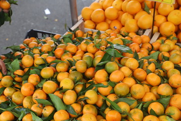 close up of mandarins displayed on the market