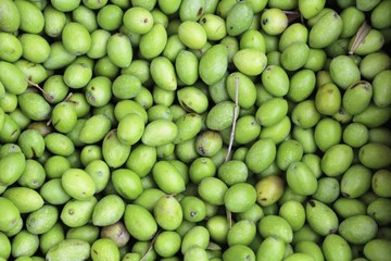closeup of olives exposed to the market