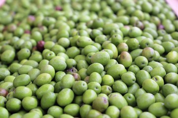 closeup of olives exposed to the market