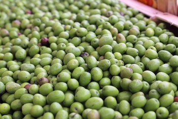 closeup of olives exposed to the market