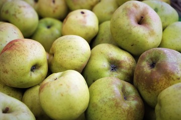 closeup of  apples on display at the market