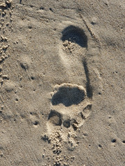 single footprint on the beach