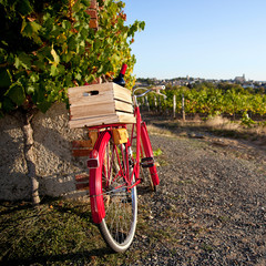Vélo rouge dans les vignes en France. Paysage de campagne
