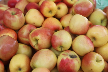 closeup of apples exposed to the market