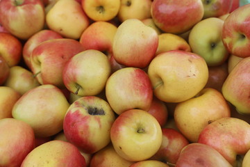 closeup of apples exposed to the market