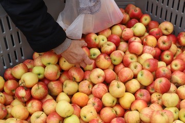 closeup of a hand taking a apple from a market stall