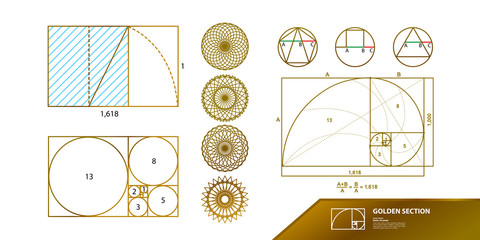Golden ratio for creative design vector illustration. - obrazy, fototapety, plakaty