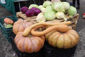 close up of pumpkins and cabbage displayed on the market