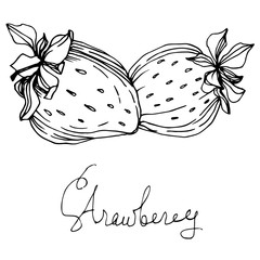 Vector Strawberry healthy food. Black and white engraved ink art. Isolated berry illustration element.