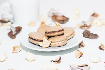 Macaroon. Tasty French dessert. Macaroon on the table