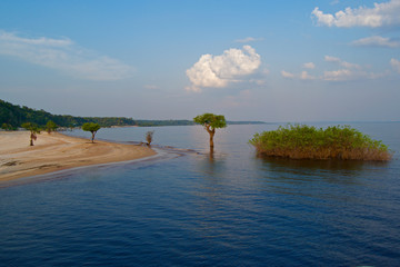 Landscape in the amazonas river
