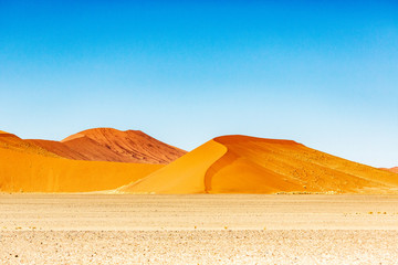 Fototapeta na wymiar The dune 45 in sossusvlei, Namibia, Africa