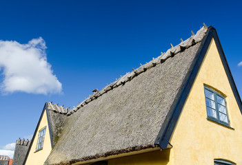 Viking Roof