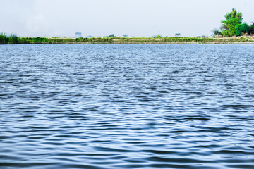 beautiful scenic view of parks and greenery  