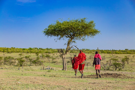 Bush walk with masaais in Masai mara