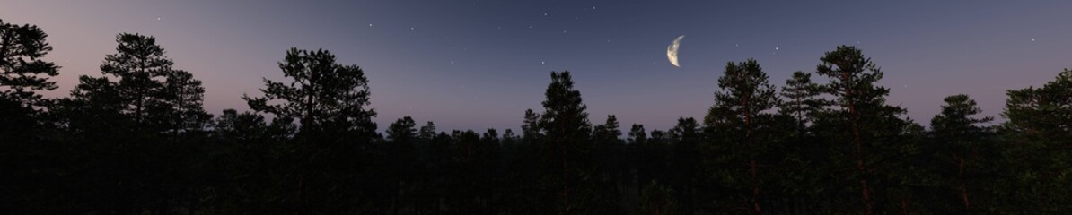 Naklejka premium Silhouettes of trees against the background of the night sky. 3d rendering.
