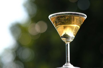 glass of martini cocktail on background