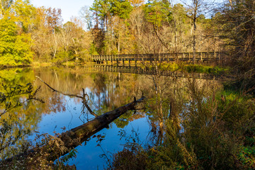 A pedestrian bridge across wetlands with trees reflected in a still pond.