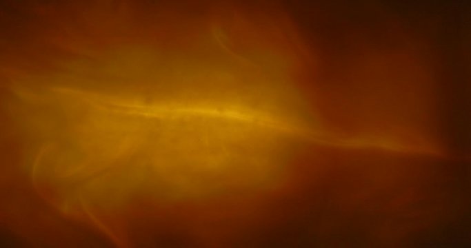 Organic tissue and fluids shot from inside of womb.