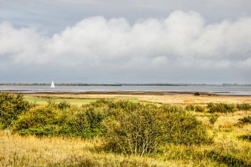 View from the dike on the north coast of the island of Schouwen-Duiveland, The Netherlands towards shrubs and grasses on the adjacent wetlands and lake Grevelingen beyond