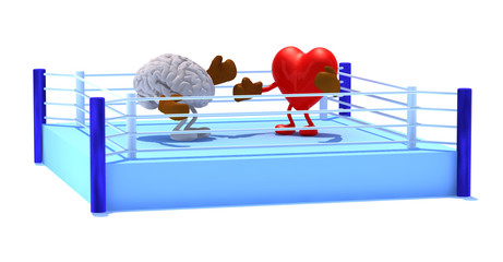Heart that is fighting with the brain