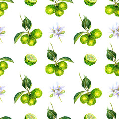 Watercolor seamless pattern with bergamot fruits and flowers on white background