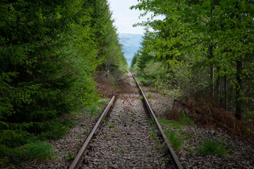 Abandoned railroad track