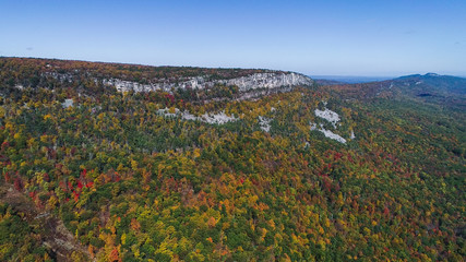 Aerial view of autumn forest in mountain.