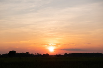 Fototapeta na wymiar Orange sky color in sunset and silhouette