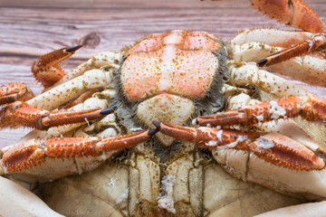 Reverse of a big crab