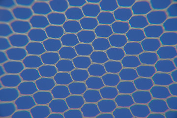 abstract blue background