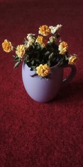 Fototapeta na wymiar bouquet of flowers in vase on a black background