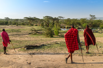 bush walk with Maasais in kenya