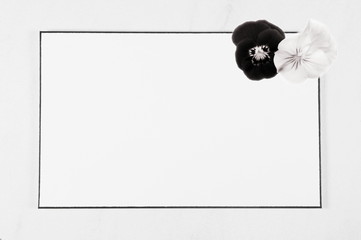 funeral Condolence card. petals on white marble background, Blank frame near Horned pansy isolated,...