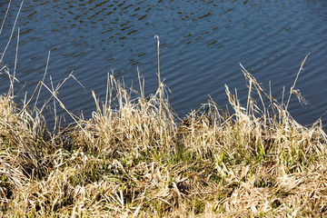 near the lake