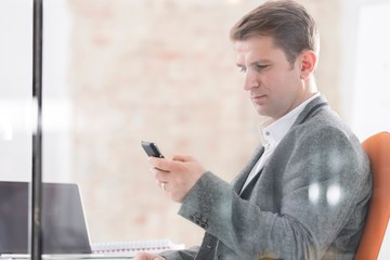 Businessman using smartphone in office