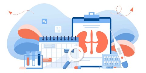 Kidney healthcare, doing medical research.urology and nephrology. nephroptosis, renal failure, pyelonephritis, diseases, kidney stones, cystitis. For website, app, banner, flyer