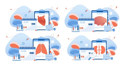 Doctor and human internal organ set. Anatomy concept. Kidney, lungs, heart and brain. Therapist make diagnosis. anatomical and medical inner organs disease treatment. Pharmacy research system