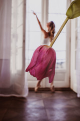 Ballerina © Michaela Begsteiger