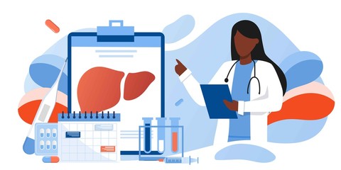Fototapeta na wymiar Doctors treat the liver. Liver disease, hepatitis A, B, C, D, cirrhosis, world hepatitis day. For web banners, brochure cover and flyer template. Healthcare, doing medical research concept