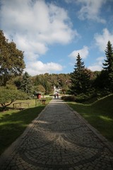 Fototapeta premium Ataturk Arboretum Botanic Park in Istanbul