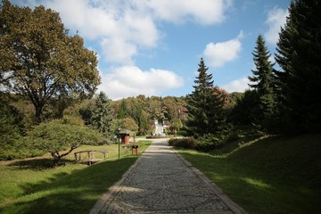 Fototapeta na wymiar Ataturk Arboretum Botanic Park in Istanbul