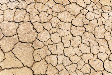 Ground cracking due to lack of water