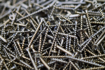 lots of wood screws close up