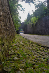 entrance to a castle through a tower along the path climbing between trees
