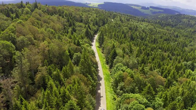 Aerial view flying over two lane forest road with car moving green trees of woods growing both sides. Car driving along forest road. aerial:car driving through pine forest.Germany black forest aerial