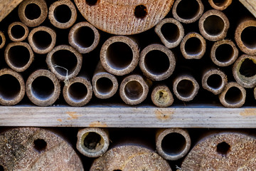 Détail d'une maison à insectes dans un jardin